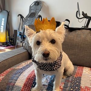 Meet your Posher, Lauren